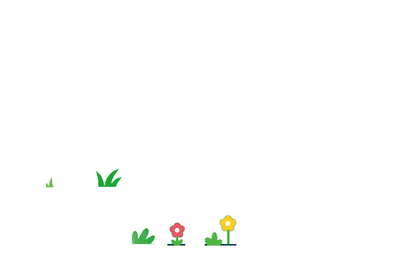 Plants